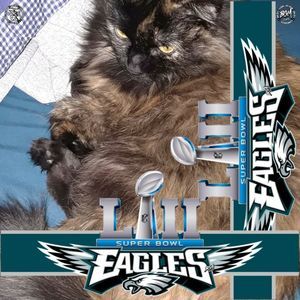 Meet your Posher, Sherry